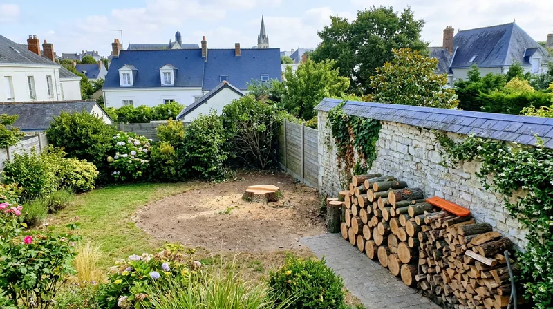 Abattage d'arbre Angers